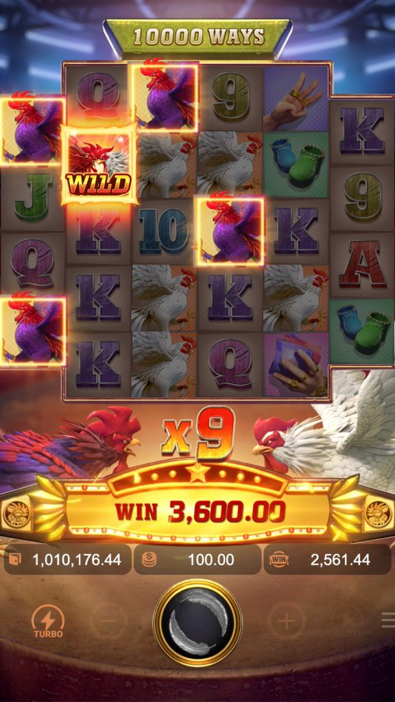 How to play Rooster Rumble High Bet 15.00? Diu Lottery Login插图3 How to play Rooster Rumble High Bet 15.00? Diu Lottery Login插图3